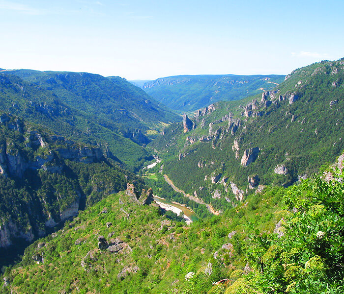 Gorges du Tarn