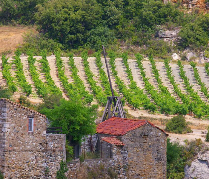 Vignobles de l'Aude